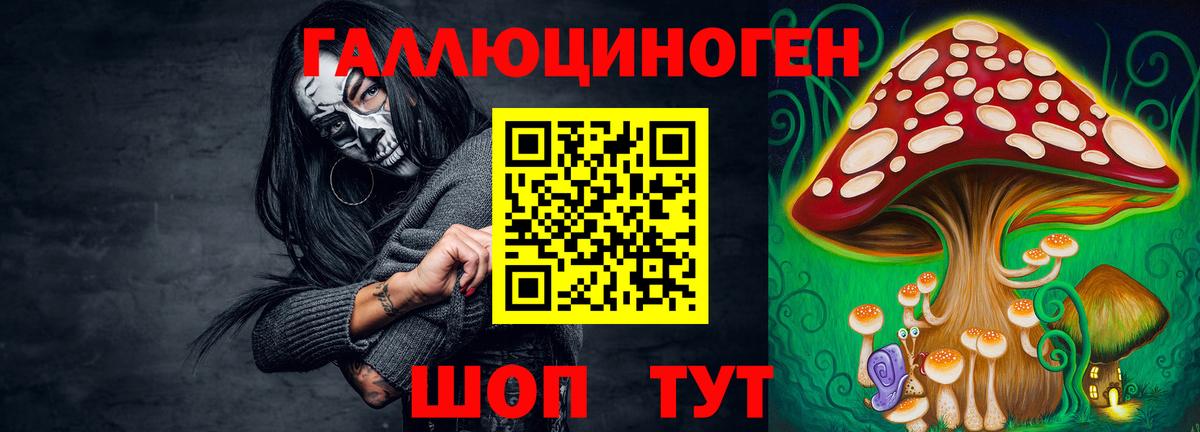 Псилоцибиновые грибы MAGIC MUSHROOMS  Вход с VPN  Сердобск 